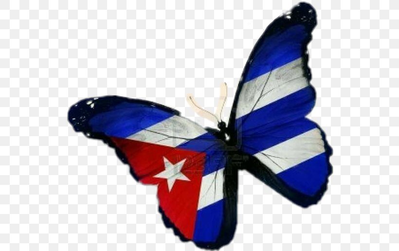 Flag Of Cuba Butterfly Stock Photography, PNG, 550x516px, Cuba, Butterflies And Moths, Butterfly, Cuban Salsa, Flag Download Free