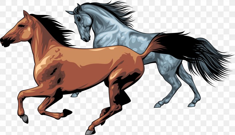 Horse Pony Clip Art, PNG, 6004x3455px, Horse, Black, Bridle, Buckskin, Colt Download Free