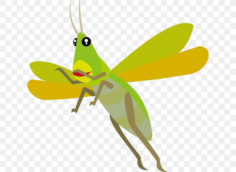 Insect Bitcoin Chinese Grasshopper Caelifera, PNG, 630x598px, Insect, Arthropod, Bitcoin, Caelifera, Chinese Grasshopper Download Free