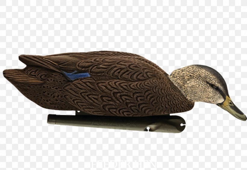 Mallard Duck Decoy American Black Duck, PNG, 863x597px, Mallard, American Black Duck, Beak, Bird, Canvasback Download Free