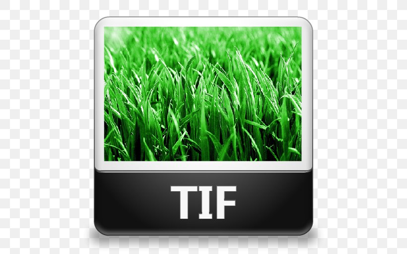 TIFF, PNG, 512x512px, Tiff, Computer Software, Document File Format, Grass, Grass Family Download Free