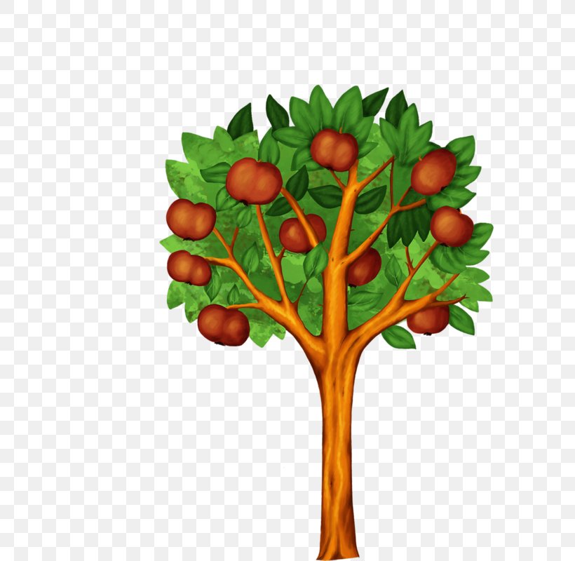 Fruit Tree Drawing Salak, PNG, 588x800px, Fruit, Auglis, Berry, Bilberry, Branch Download Free