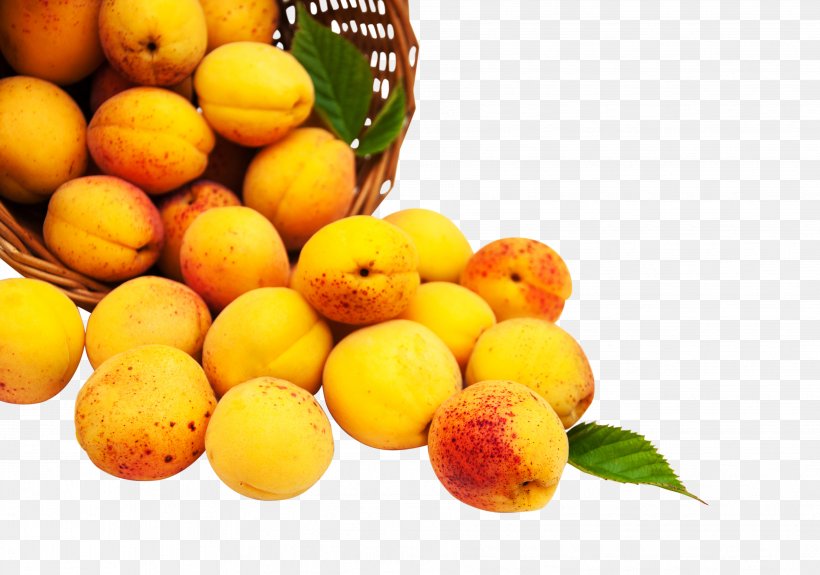 Peach Auglis Fruit Apricot, PNG, 3609x2532px, Peach, Apricot, Auglis, Bitter Orange, Citrus Download Free