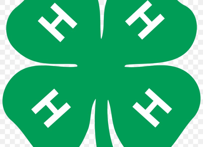 4-H Clover Chesapeake Cooperative State Research, Education, And Extension Service Youth, PNG, 800x592px, Clover, Area, Brand, Chesapeake, Fair Download Free