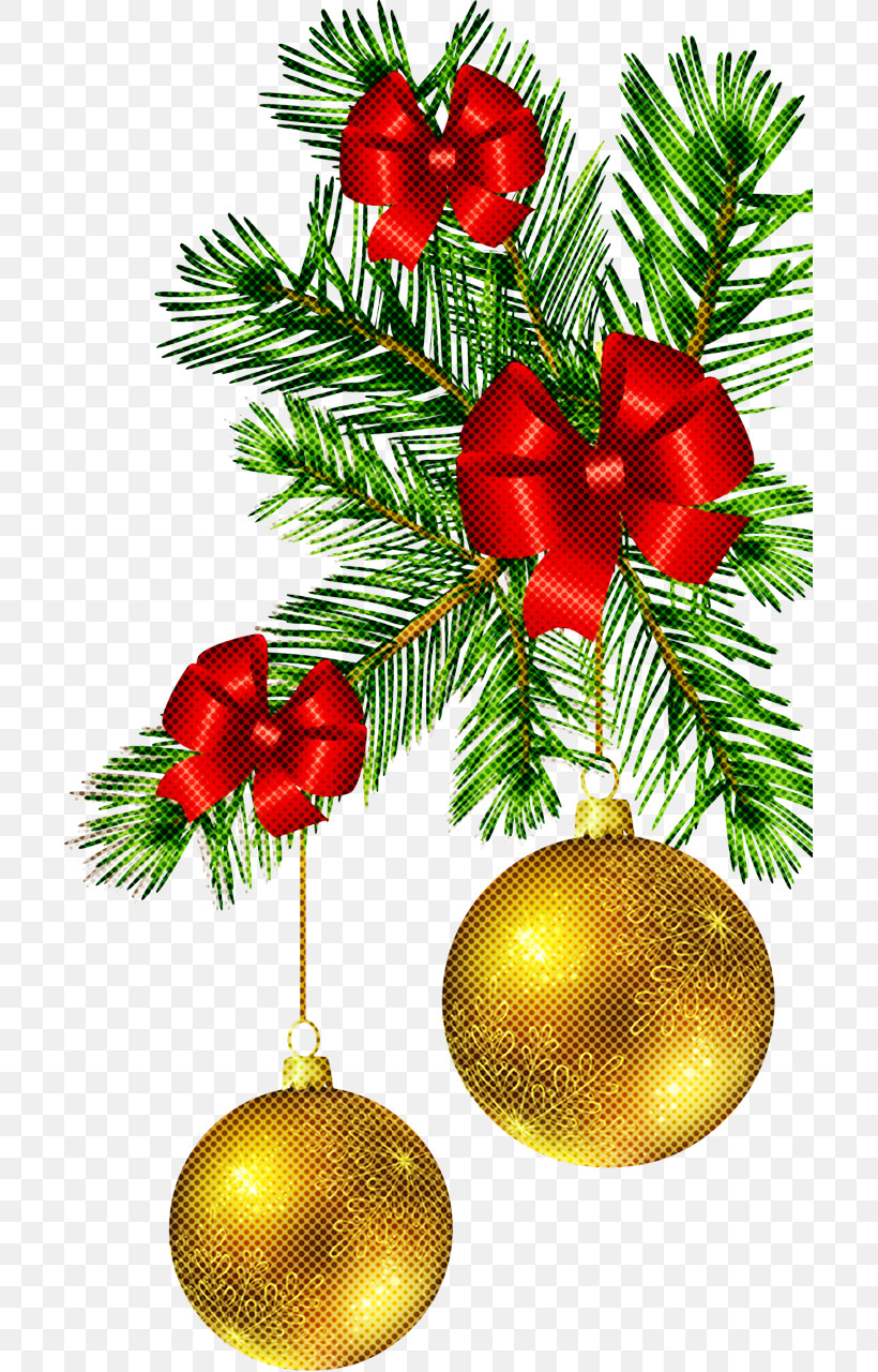 Christmas Decoration, PNG, 699x1280px, Christmas Decoration, Branch, Christmas, Christmas Eve, Christmas Ornament Download Free