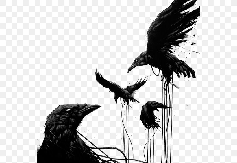 Common Raven Bird House Crow Tattoo Art, PNG, 564x564px, Common Raven, American Crow, Art, Beak, Bird Download Free