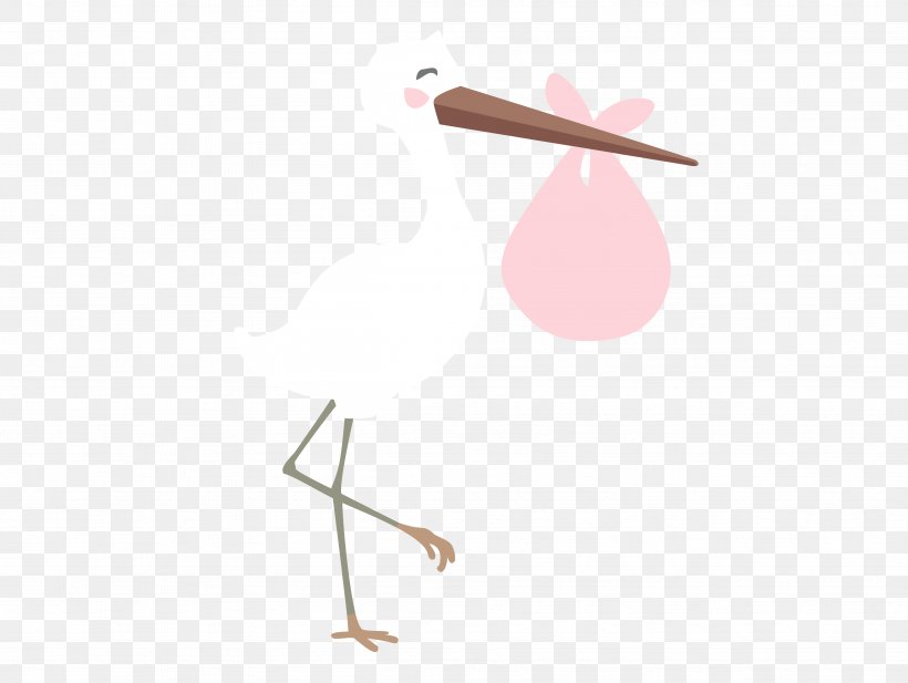 Line Angle, PNG, 4784x3600px, Pink M, Bird, Joint, Pink, Vertebrate Download Free