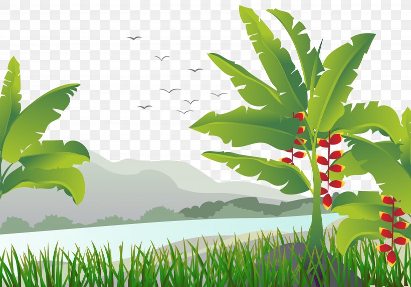 Banana Leaf Tree Illustration, PNG, 3500x2451px, Banana, Art, Banana Leaf, Drawing, Flowerpot Download Free
