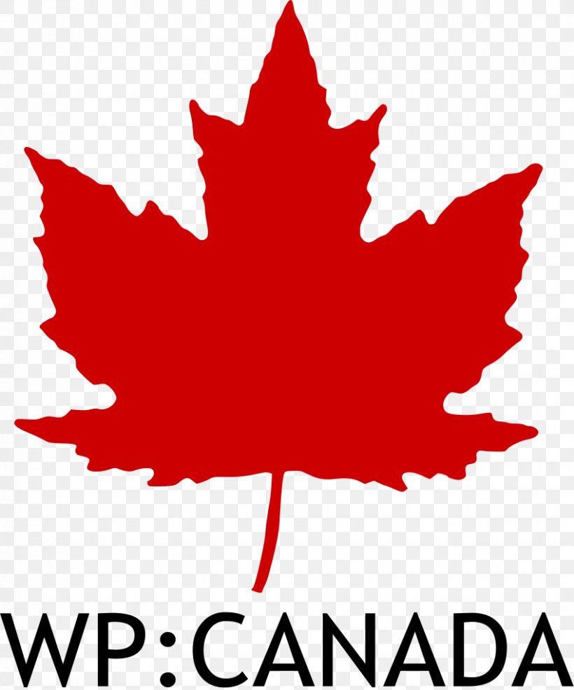 Canadair Sabre Royal Canadian Air Force Roundel, PNG, 850x1023px, Canada, Air Force, Artwork, Canadair Sabre, Canadian Air Force Download Free