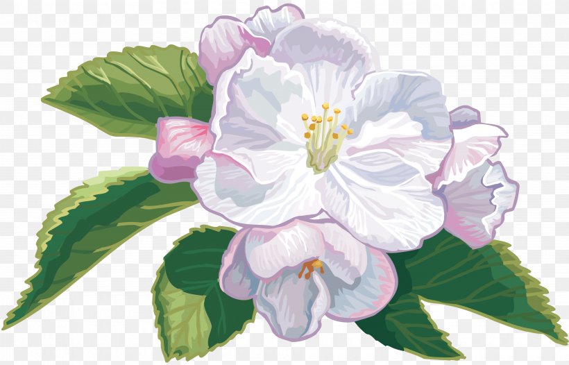 Flower Apples Color Clip Art, PNG, 3915x2515px, Flower, Apples, Blossom, Color, Flowering Plant Download Free