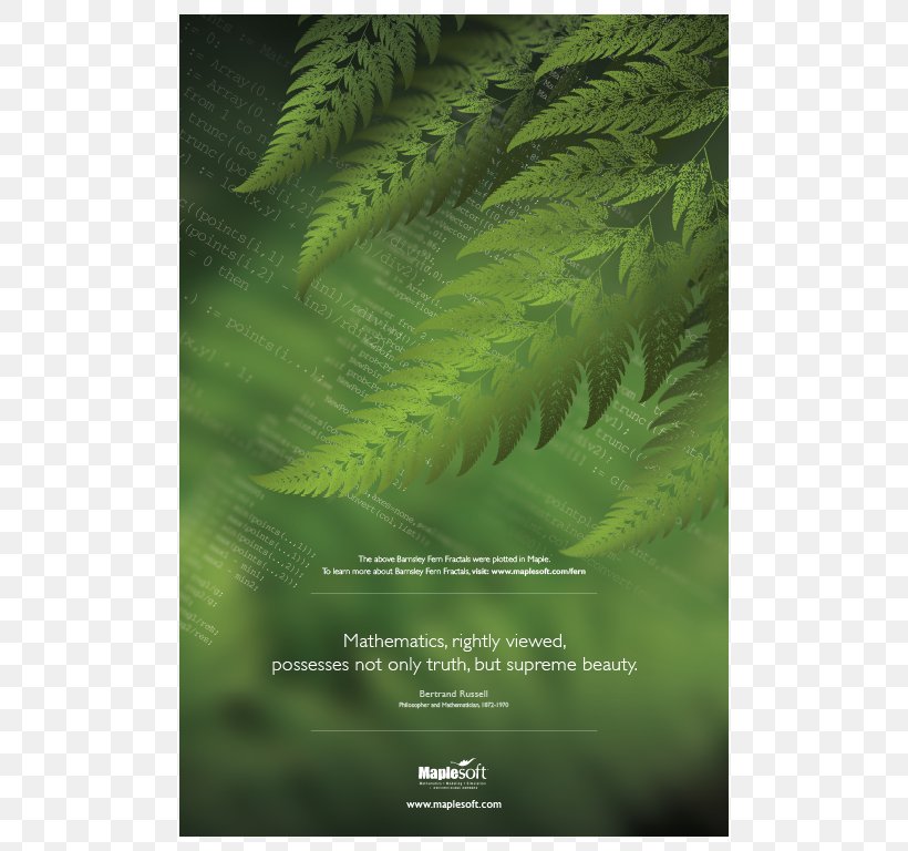 The Principles Of Mathematics Fern Maple Poster, PNG, 768x768px, Mathematics, Barnsley Fern, Bertrand Russell, Engineering, Fern Download Free