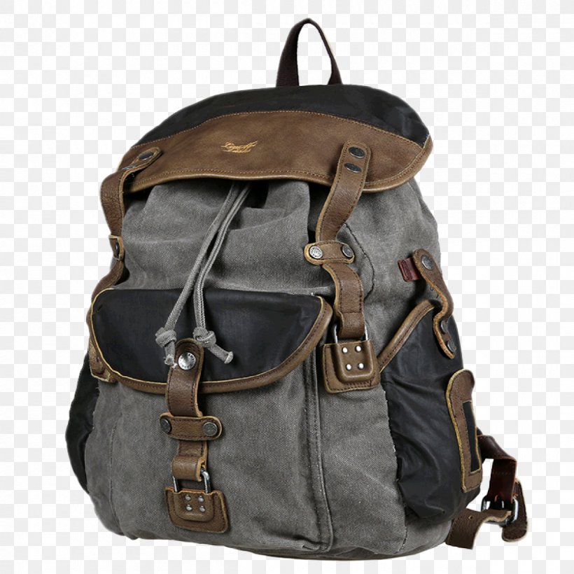 Backpack Handbag Côte&Ciel Isar 15