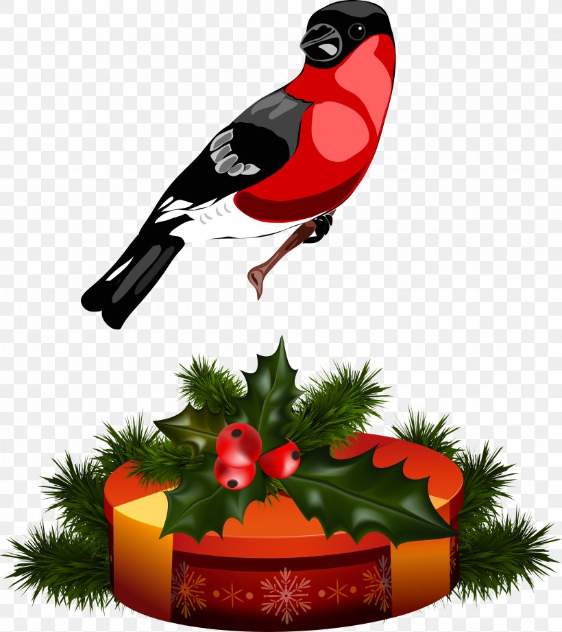 Christmas Ornament Clip Art, PNG, 4250x4776px, Christmas Ornament, Beak, Bird, Blog, Christmas Download Free