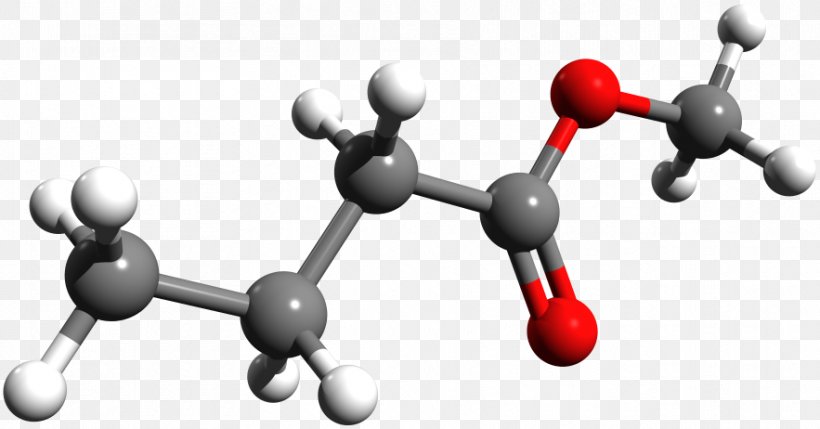 Methyl Butyrate Butyric Acid Molecule, PNG, 883x462px, Methyl Butyrate, Acid, Ballandstick Model, Butyl Group, Butyrate Download Free