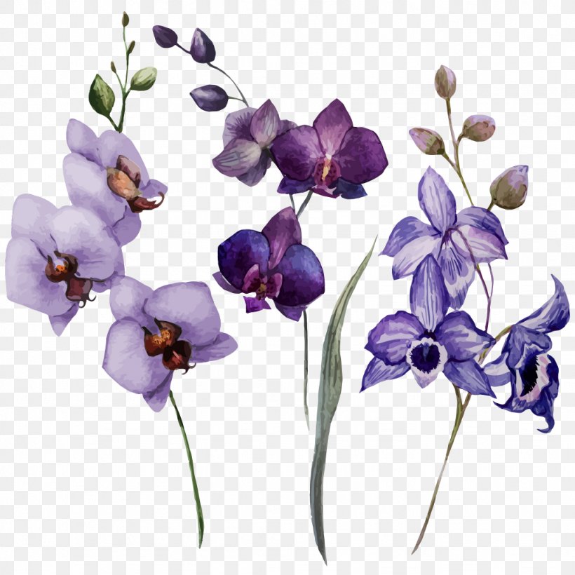 Orchids Drawing Flower Watercolor Painting, PNG, 1024x1024px, Orchids, Color, Cut Flowers, Drawing, Floral Design Download Free