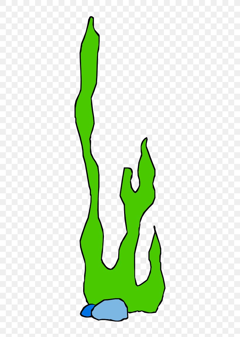Seaweed Clip Art Image Cartoon, PNG, 420x1151px, Seaweed, Algae, Animated Cartoon, Area, Artwork Download Free