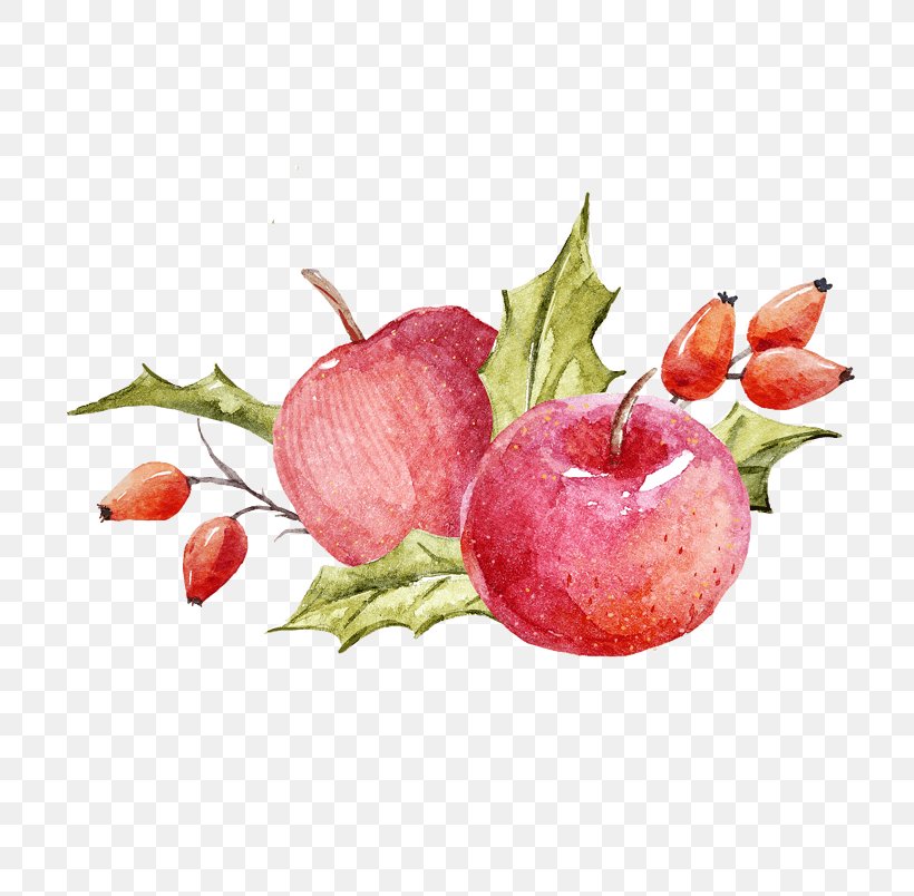 Watercolor Painting Vector Graphics Illustration Image Apple, PNG, 804x804px, Watercolor Painting, Apple, Flower, Flowering Plant, Food Download Free