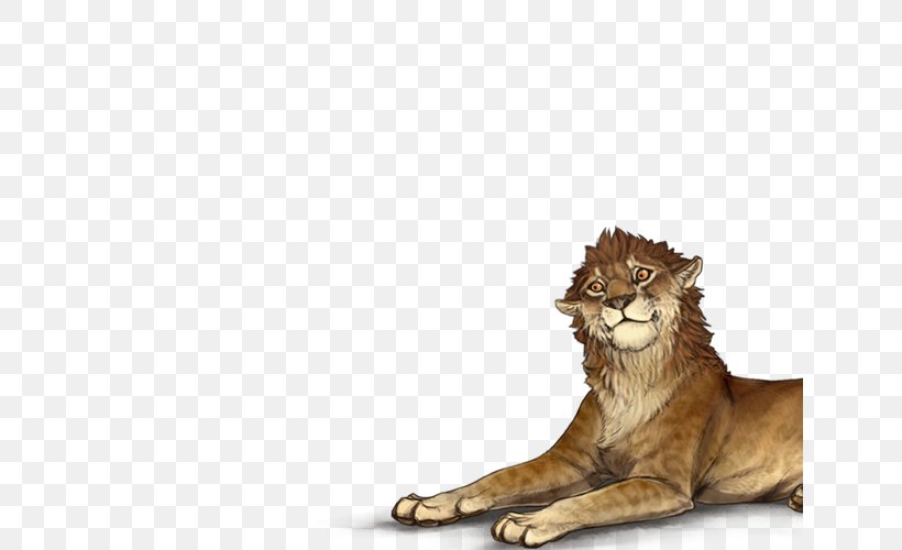 Whiskers Lion Cat Felidae Tiger, PNG, 640x500px, Whiskers, Big Cat, Big Cats, Carnivora, Carnivoran Download Free