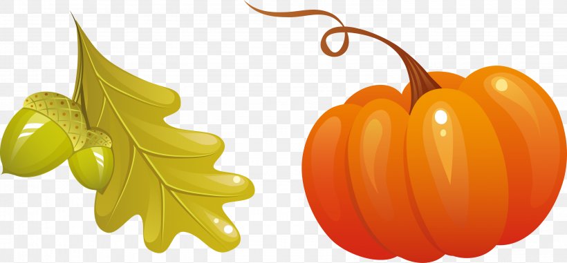 Autumn Free Content Icon, PNG, 2988x1390px, Autumn, Autumn Leaf Color, Calabaza, Cucurbita, Drawing Download Free
