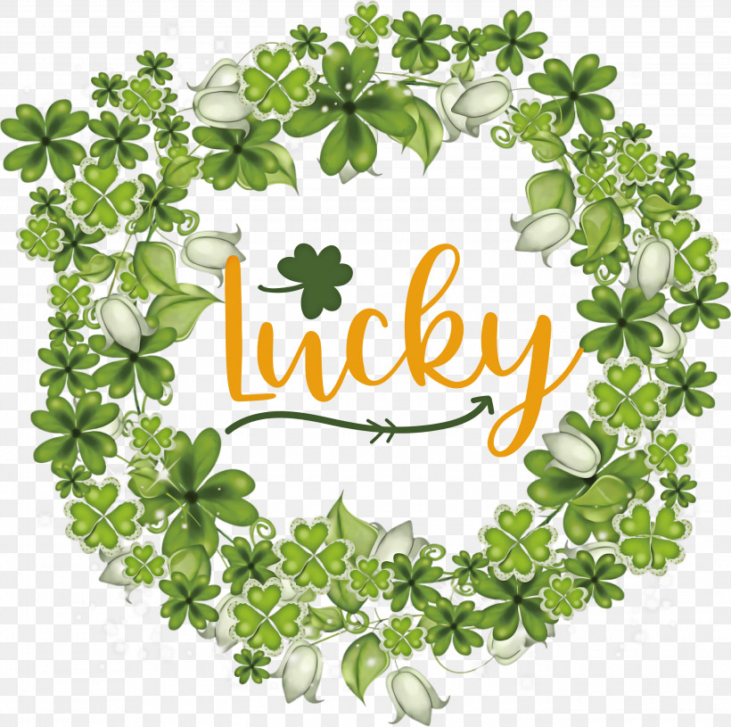 Lucky Patricks Day Saint Patrick, PNG, 3000x2985px, Lucky, Branch, Christmas Lights, Flower, Flowerpot Download Free