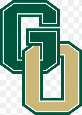 School - GlenOak High School Lely High School National Secondary School High School Football PNG