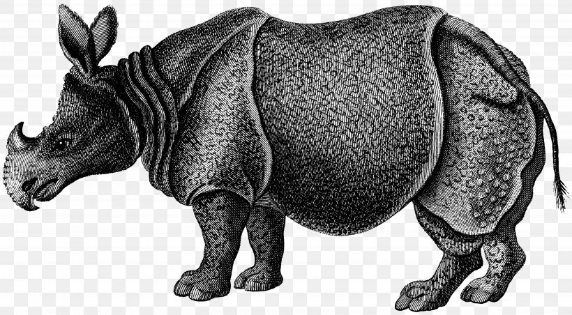Rhinoceros Zoological Lectures Delivered At The Royal Institution; Tile Striped Hyena Mammal, PNG, 3600x1987px, Rhinoceros, Animal, Black And White, Ceramic, Craft Magnets Download Free