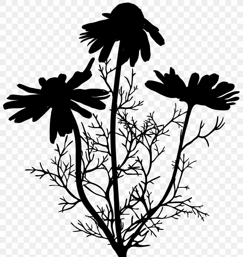 Twig Plant Stem Flower Leaf Font, PNG, 7555x8000px, Twig, Blackandwhite, Botany, Branch, Flower Download Free