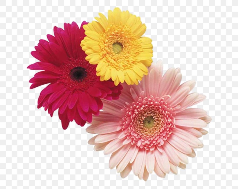 Flower Bouquet Cut Flowers Floristry Floral Design, PNG, 650x650px, Flower Bouquet, Annual Plant, Artificial Flower, Aster, Asterales Download Free