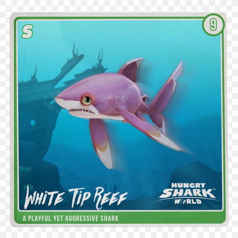 Hungry Shark World Requiem Sharks Hungry Shark Evolution Blacktip Reef Shark Png 10x10px Hungry Shark World
