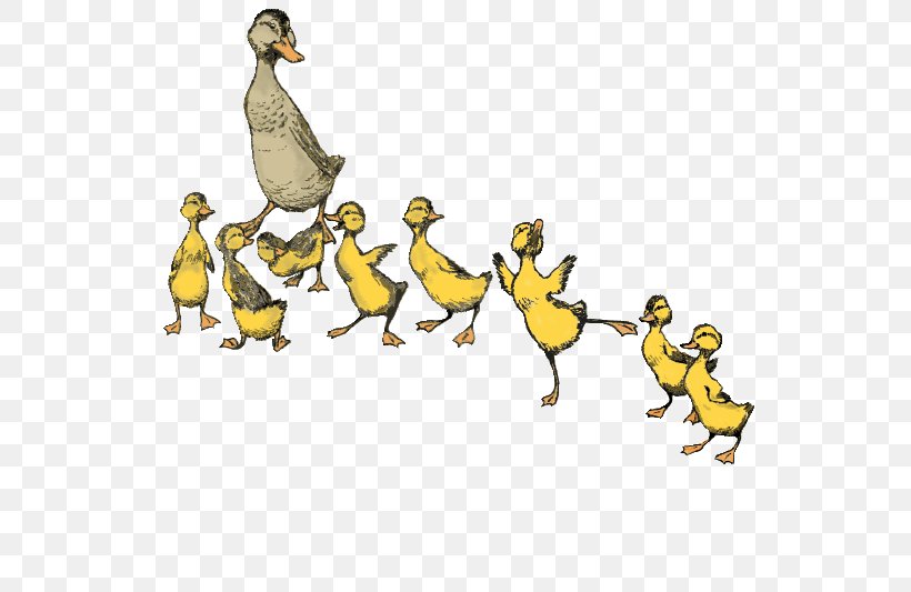Make Way For Ducklings Boston Performing Arts Dance, PNG, 549x533px, Duck, Animal Figure, Art, Arts, Ballet Download Free