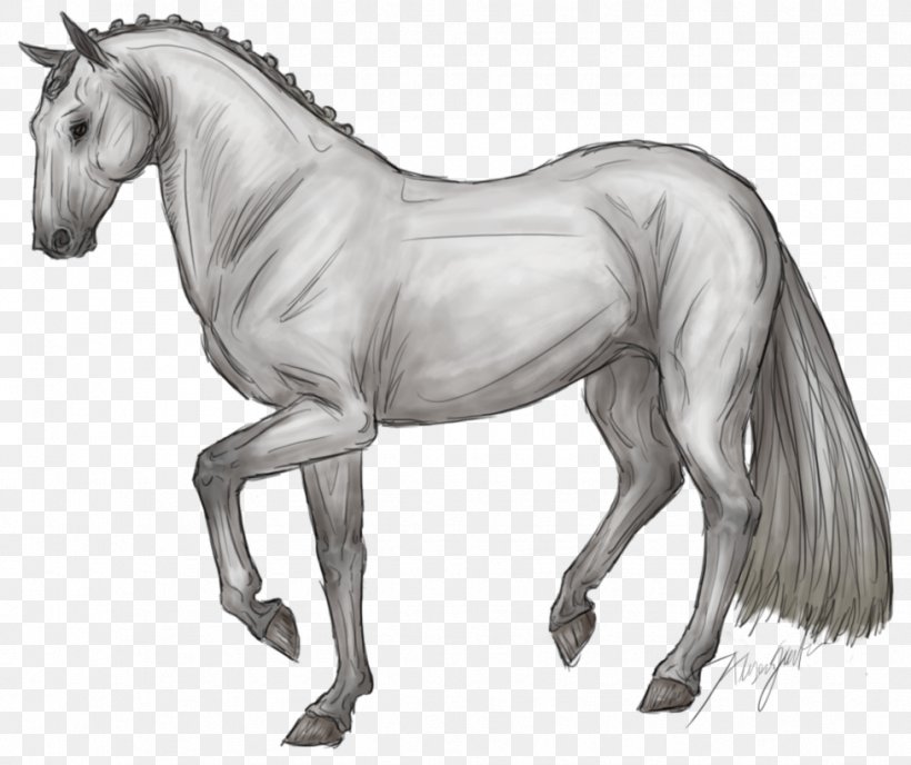 Mane Foal Stallion Mare Colt, PNG, 976x819px, Mane, Black And White, Bridle, Colt, Drawing Download Free