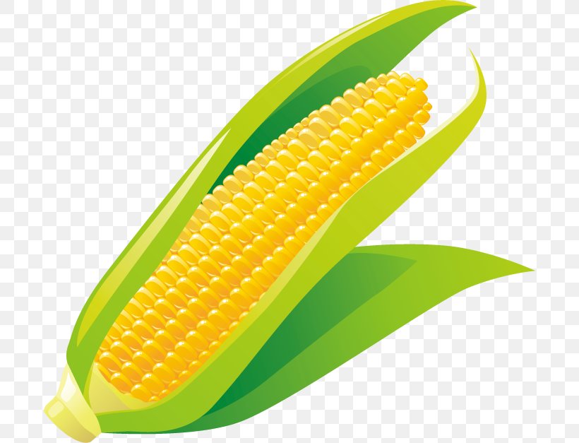Corn On The Cob Corncob Maize, PNG, 696x627px, Corn On The Cob, Cartoon, Cereal, Commodity, Corn Kernels Download Free