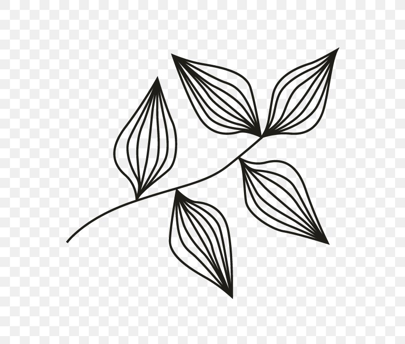 /m/02csf Line Art Drawing Leaf, PNG, 696x696px, Line Art, Artwork, Black And White, Branch, Drawing Download Free