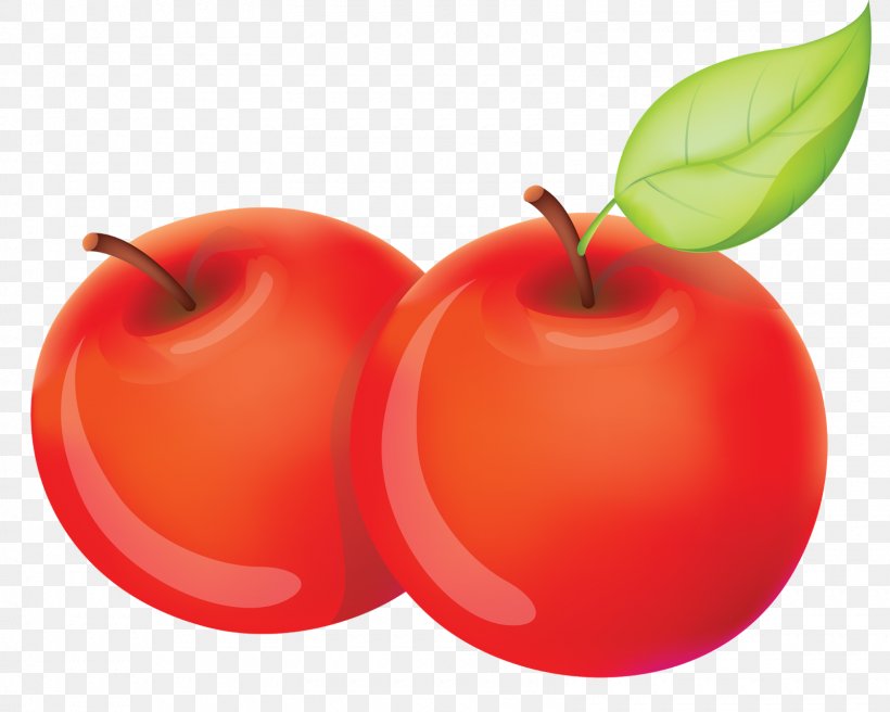 Apple Food Fruit IPhone X, PNG, 1600x1280px, Apple, Computer Software, Diet Food, Facetime, Food Download Free
