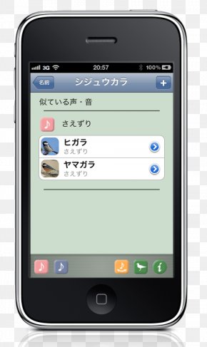 JapBirds - Feature Phone Smartphone Responsive Web Design Template Newsletter PNG