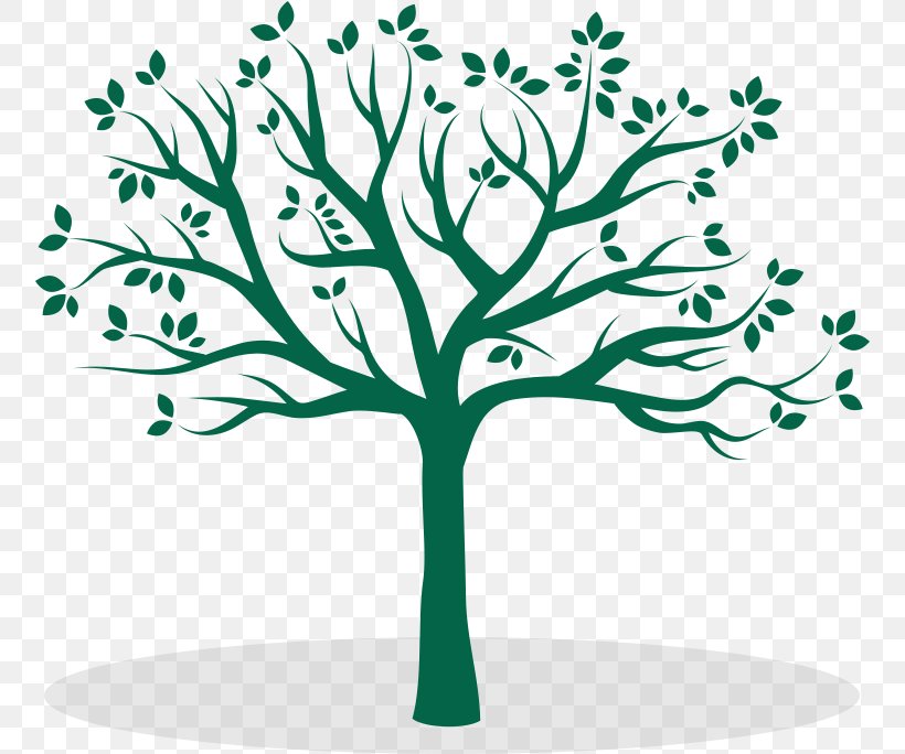 Tree Branch Silhouette, PNG, 757x684px, Tree, Branch, Coat Hat Racks, Color, Decal Download Free
