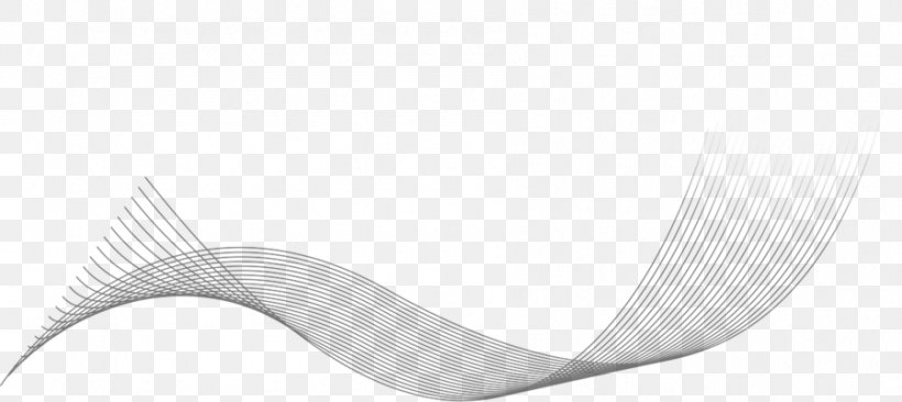 White Line Angle, PNG, 899x402px, White, Black And White, Monochrome, Wing Download Free