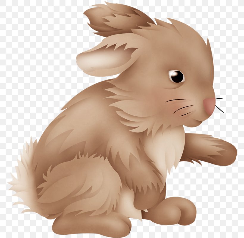 Domestic Rabbit Hare Easter Bunny Clip Art, PNG, 774x800px, Domestic Rabbit, Cartoon, Drawing, Ear, Easter Download Free