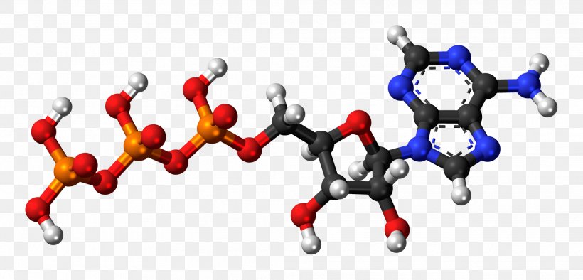 Guanine Guanosine Monophosphate Adenosine Triphosphate Adenine, PNG, 2079x1000px, Watercolor, Cartoon, Flower, Frame, Heart Download Free