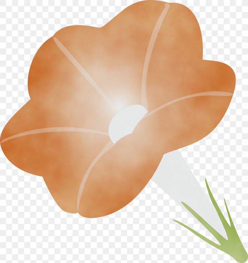 Petal Flower Plant Anthurium Peach, PNG, 2830x3000px, Morning Glory Flower, Anthurium, Flower, Heart, Paint Download Free