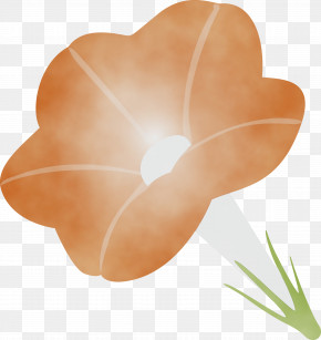 Petal Flower Plant Anthurium Peach PNG