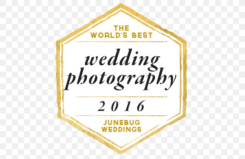 Photographer Wedding Photography Elopement, PNG, 596x533px, 2017, Photographer, Area, Brand, Elopement Download Free