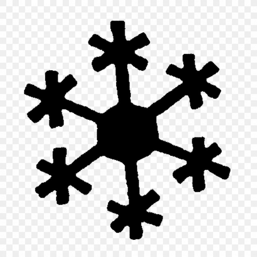 Snowflake Meteorology Weather Cold, PNG, 1000x1000px, Snowflake, Cold, Cross, Frost, Ice Download Free