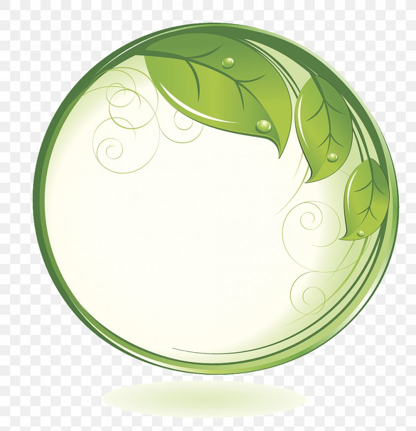 Vector Green Leafy Branches Around The Circle, PNG, 989x1024px, Leaf, Botany, Branch, Description, Designer Download Free
