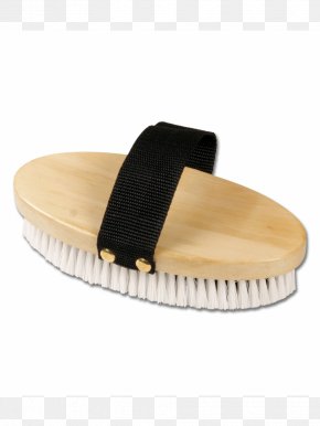 Horse - Horse Brush KardÃ¤tsche BÃ¸rste Equestrian PNG