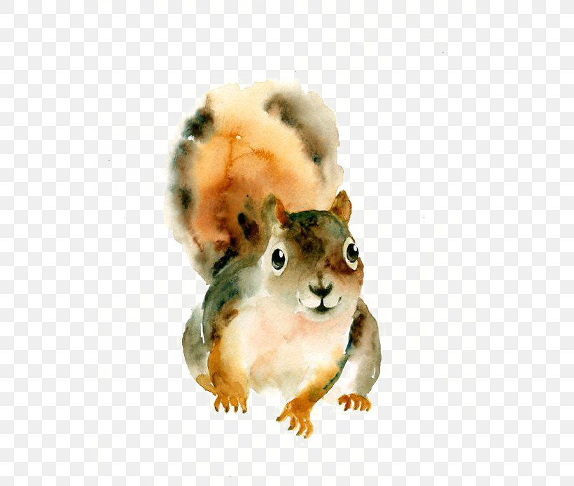 Squirrel Watercolor: Animals Watercolor Painting Art, PNG, 549x694px, Squirrel, Animal, Art, Artist, Chipmunk Download Free