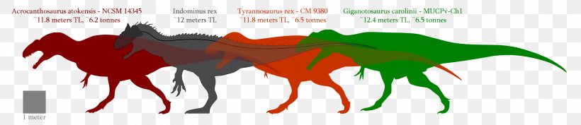 Giganotosaurus Velociraptor Acrocanthosaurus Carcharodontosaurus Spinosaurus, PNG, 2551x551px, Giganotosaurus, Acrocanthosaurus, Brand, Carcharodontosaurus, Deinonychus Download Free