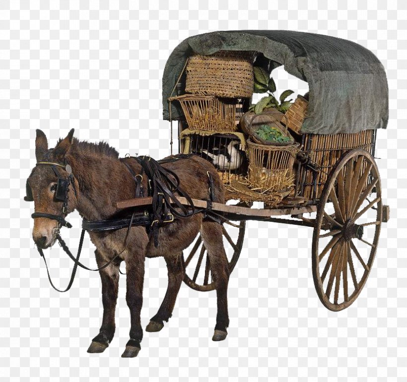 Mule Horse And Buggy Cart, PNG, 830x780px, Mule, Animal, Bit, Carriage, Cart Download Free