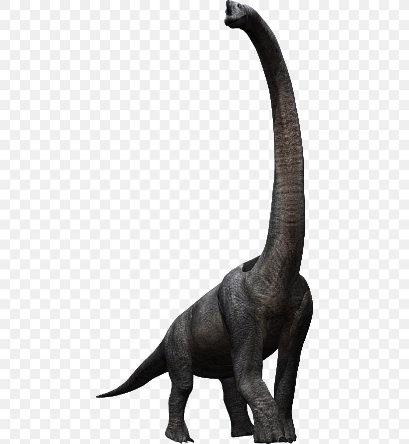 Tyrannosaurus Brachiosaurus Velociraptor Triceratops Jurassic Park, PNG, 436x890px, Tyrannosaurus, Animal Figure, Black And White, Brachiosaurus, Cretaceous Download Free