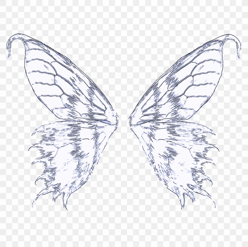 Moths And Butterflies Insect Butterfly Wing Pollinator, PNG, 2362x2362px, Moths And Butterflies, Butterfly, Fictional Character, Insect, Line Art Download Free